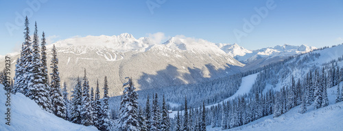 Snowy mountain trees with a view overlooking Blackcomb Mountain.