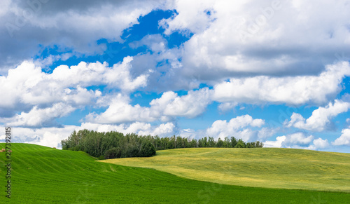 Alberta hilly landscape photo