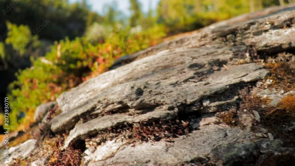 clip of waterfall in Rondane national park Norway
shot in 50fps slowed down to 25fps timeline
SLOWMO clip of waterfall in Rondane national park Norway
shot in 50fps slowed down to 25fps timeline
SLOWMO