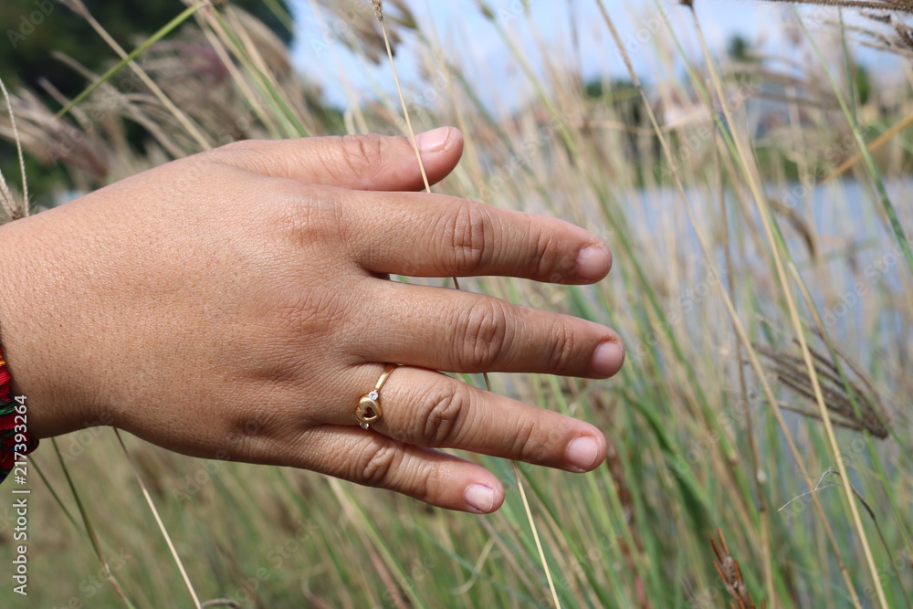 Five fingers are touching the reeds Five fingers are touching the reeds