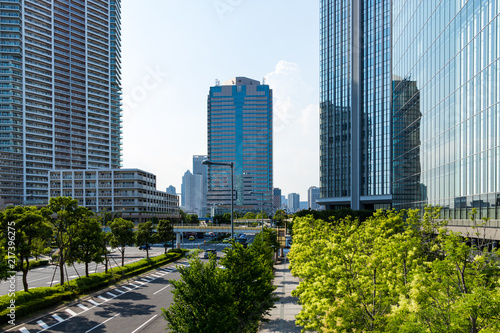 (東京都ｰ都市風景)豊洲ビル群と並木道５
