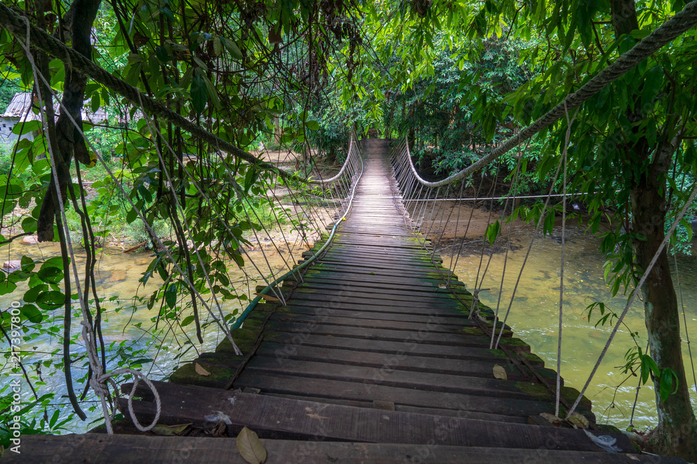 Fototapeta premium Mały drewniany wiszący most krzyżuje tropikalną rzekę z jasną wodą i otaczaniem z drzewami.