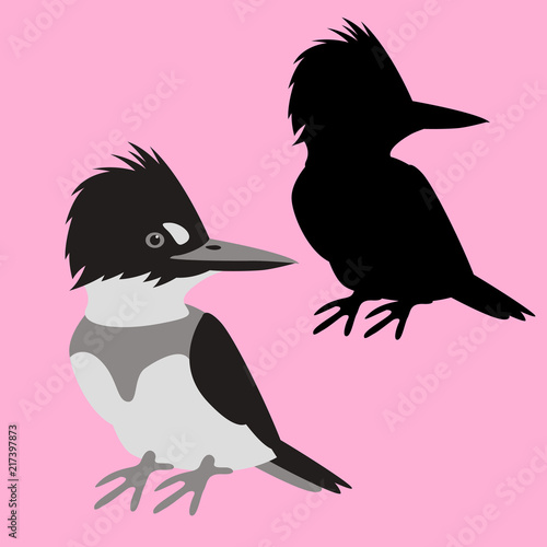 king fisher  vector illustration flat style  black silhouette