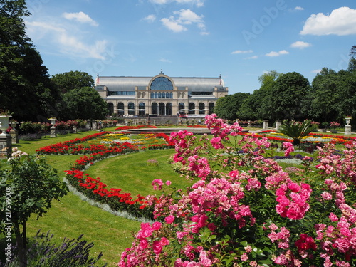 Fototapeta Naklejka Na Ścianę i Meble -  Botanical garden Flora in Cologne on a a sunny summer day with coloured flowers and blue sky in the background, a beautiful place for a visit.