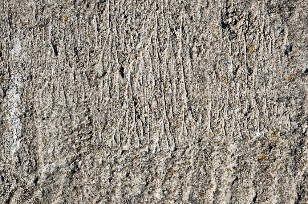 Textured concrete wall