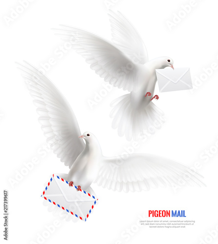 White Pigeons Set