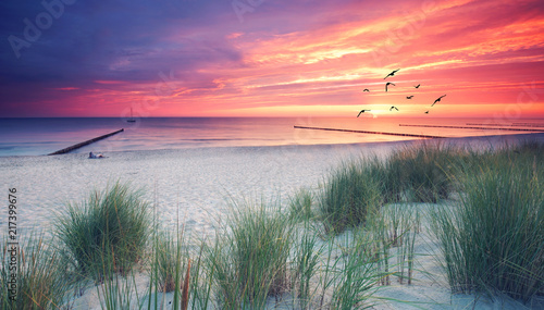 Fototapeta Wybrzeże Morza Bałtyckiego z wydmami i ostrogami
