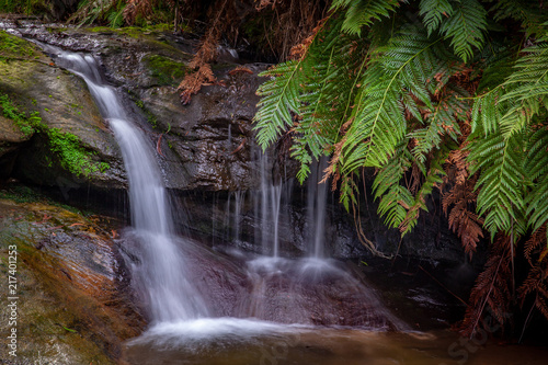 Waterfall  Great Ocean Road  Victoria  Australia