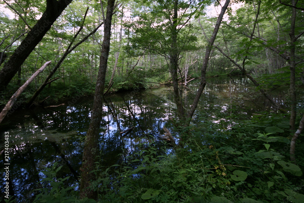 Obraz premium 信州 上高地