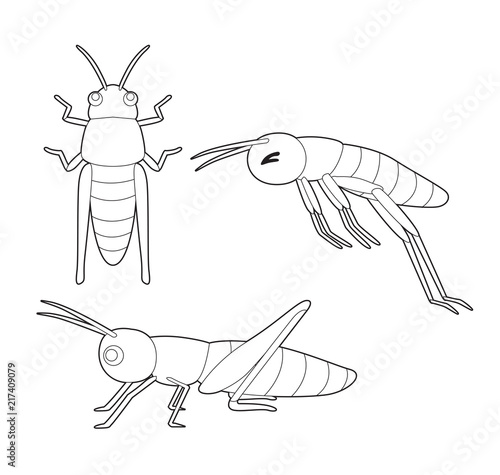 Insect Set Cute Grasshopper Cartoon Vector Coloring Book