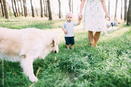 A young, sympathetic mother with a son and a dog actively and cheerfully spend time in nature