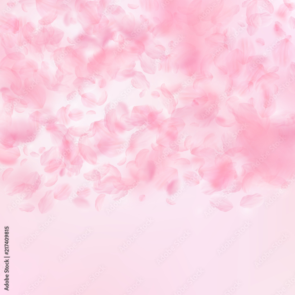Obraz premium Sakura petals falling down. Romantic pink flowers gradient. Flying petals on pink square background.