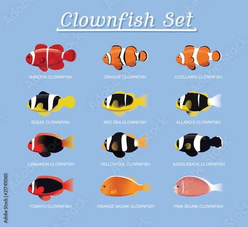 Clownfish Anemonefish Set Cartoon Vector Illustration