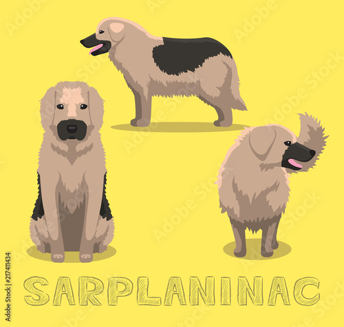 Dog Sarplaninac Cartoon Vector Illustration