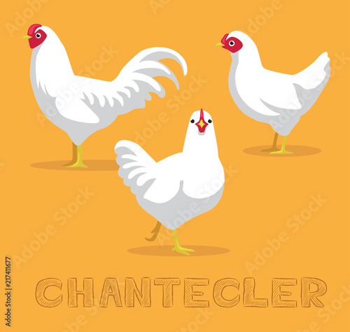 Chicken Chantecler Cartoon Vector Illustration