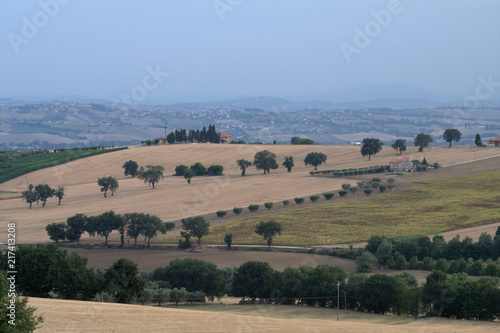 panorama italy landscape hill field countryside view summer crops