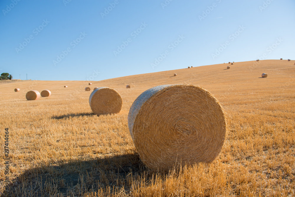 Harvestimg in Tuscany, Italy. Stacks of hay on summer field. Hay and straw bales in the end of summer
