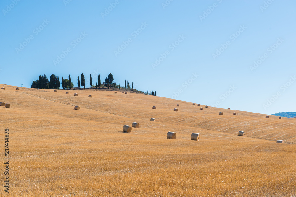 Obraz premium Harvestimg in Tuscany, Italy. Stacks of hay on summer field. Hay and straw bales in the end of summer