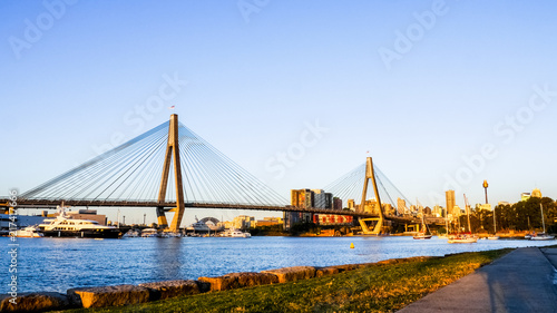 Anzac bridge over Blackwattle Bay in the evening, view form the Blackwattle Bay public park with AMP Tower in the background