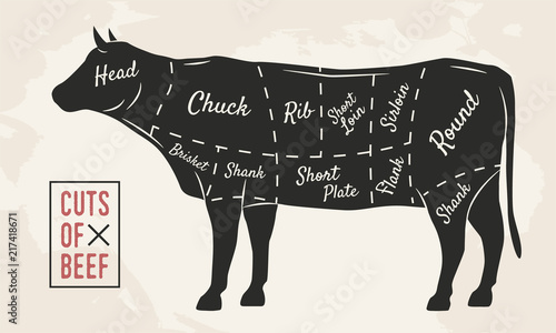 Meat cuts. Beef cuts. Vintage Poster for Restaurant or butcher shop. Retro diagram. Vector illustration.