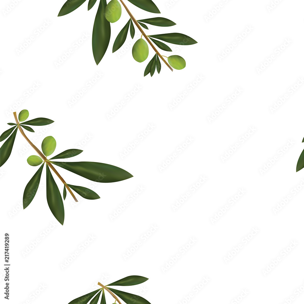Fototapeta premium seamless pattern with olive tree vector illustration - white background