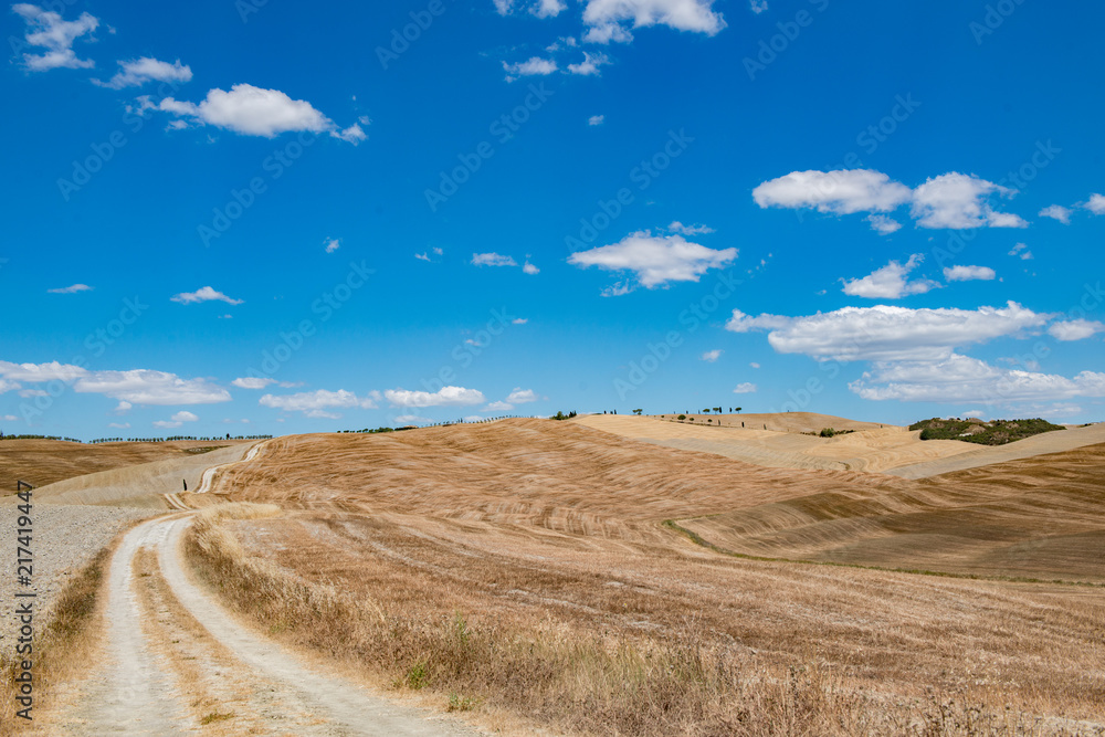 Fototapeta premium Tuscany holidays. Italy holidays tuscany. Summer landscape in Tuscany with fields, blue sky and road, Italy, Europe.