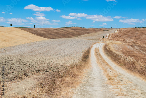 Tuscany holidays. Italy holidays tuscany. Summer landscape in Tuscany with fields  blue sky  cypress and road  Italy  Europe. Vacation in beautiful Italy.