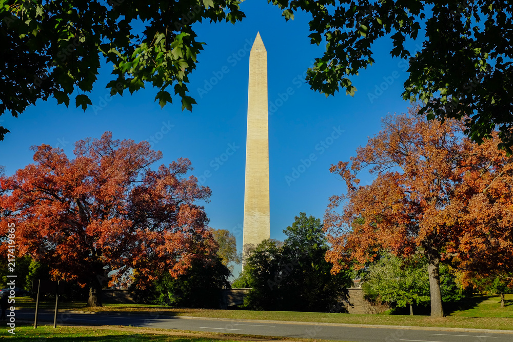 Autumn in Washington D.C. - Washington Monument and trees in autumn foliage