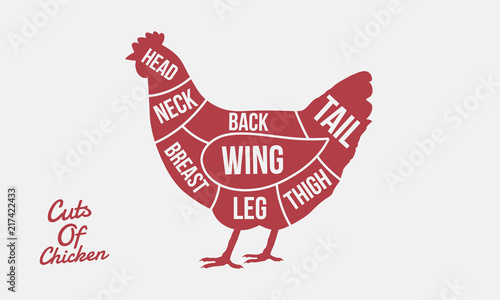 Cuts of Chicken. Meat cuts. Chicken silhouette isolated on white background. Vintage poster for meat, butcher shop. 