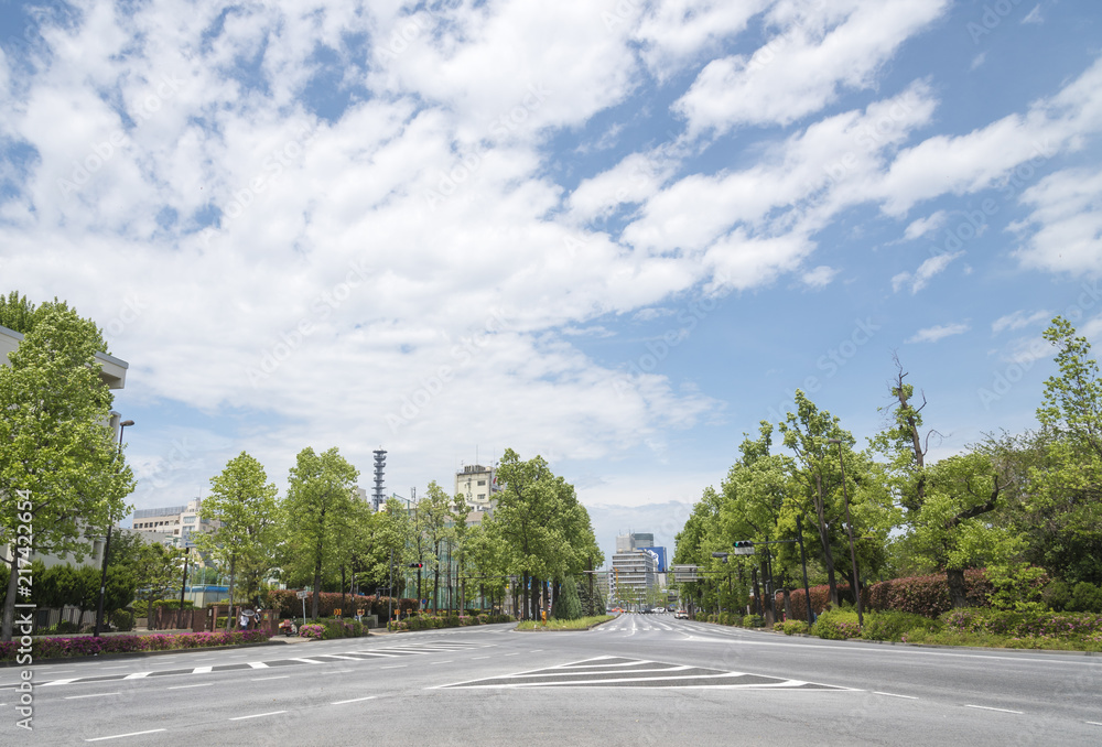 Fototapeta premium 四谷中学校前交差点から北に見える外堀通り（東京都新宿区）
