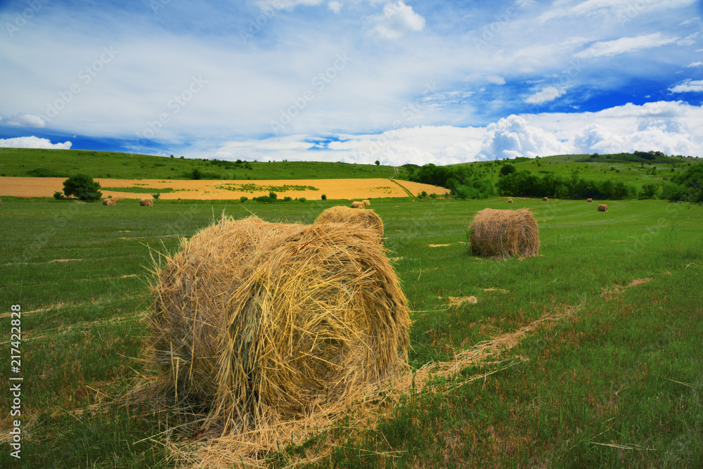Hay on the field.