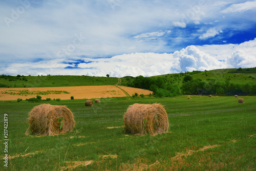 Hay on the field.