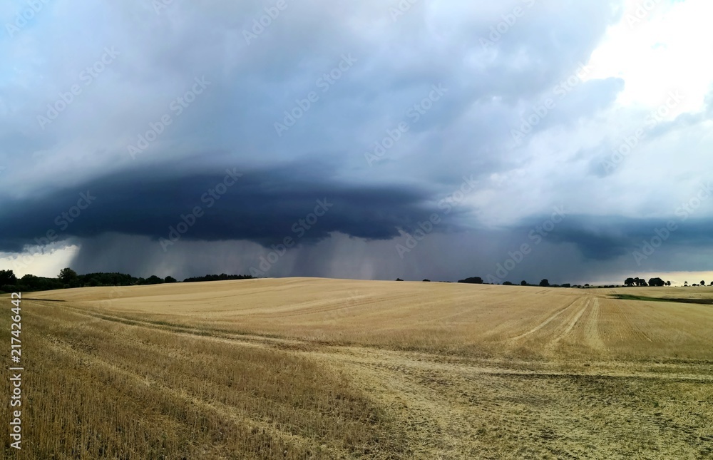 Fototapeta premium Dramatischer Himmel mit Unwetter über abgeerntetem Stoppelfeld Weizen, Panorama