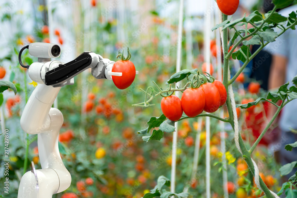 smart robotic farmers in agriculture futuristic robot automation to work to spray chemical fertilizer or increase efficiency