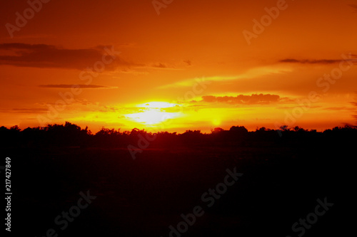 Twilight of orange sunset in the forest and colorful sky in the evening of Thailand