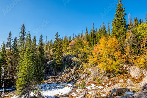 Season changing, first snow and autumn trees