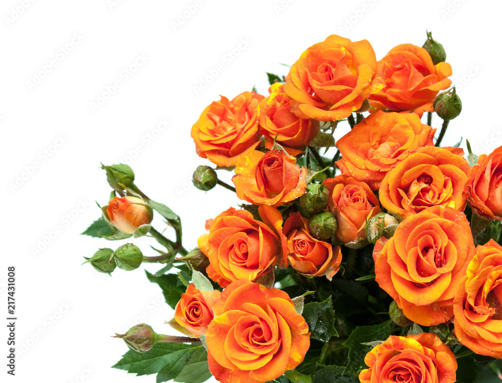 Bouquet of red roses on white. Bouquet of red roses on white.