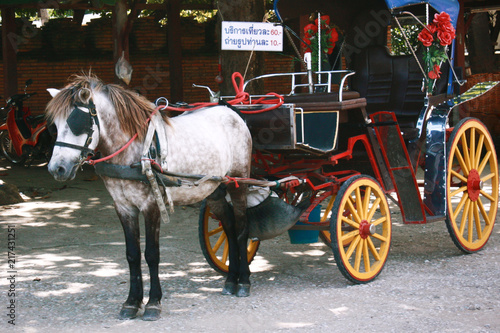 carriage vintage style in lampang northern thailand