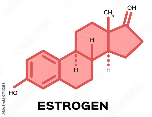 sex hormones , estrogen vector