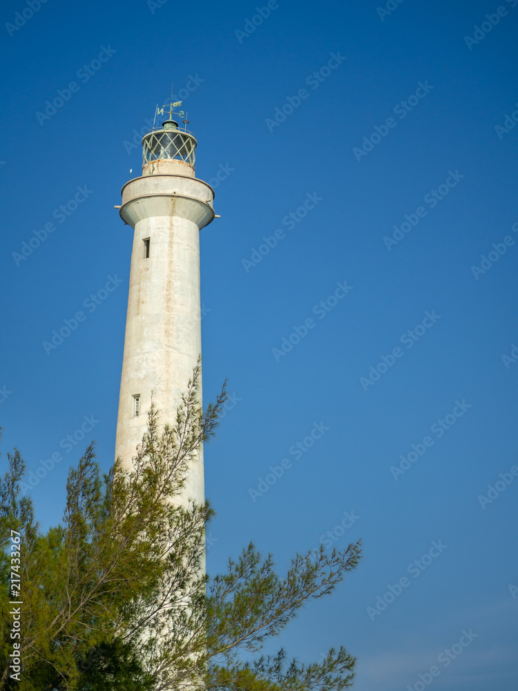 A white lighthouse rising out of tropical vegetation A white lighthouse rising out of tropical vegetation