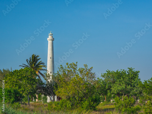 A white lighthouse rising out of tropical vegetation