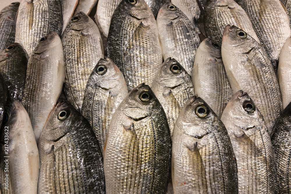 Obraz premium Freshly caught dorads at a fish market in Croatia. Delicacy.
