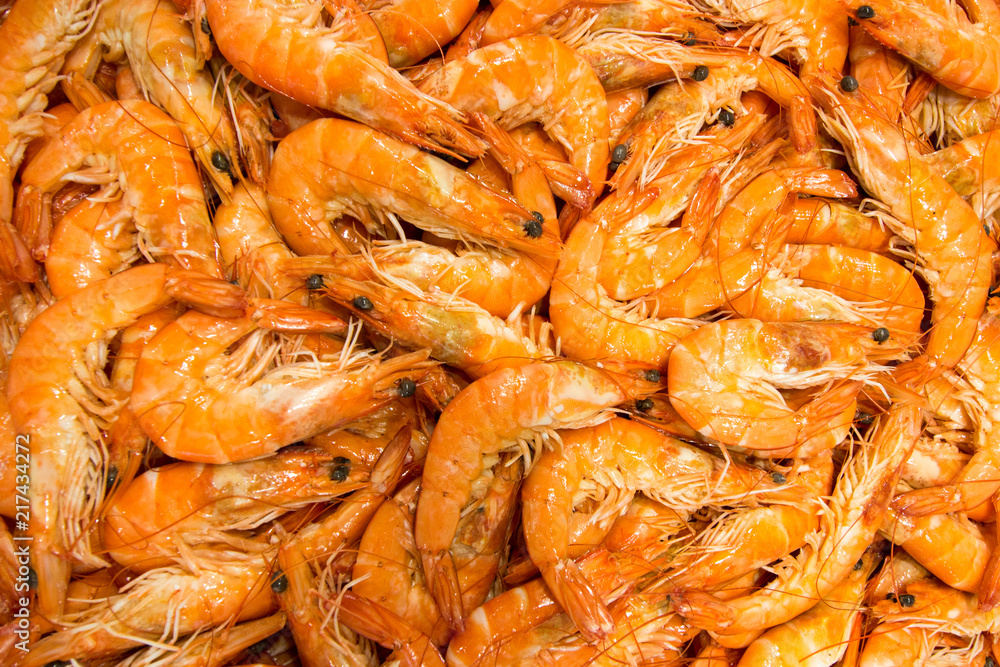 Hundreds of freshly caught scampis at a fish market in Croatia. Hundreds of freshly caught scampis at a fish market in Croatia.