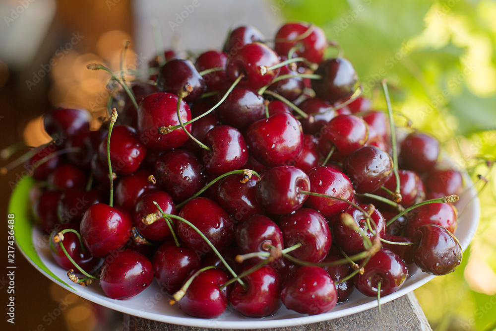 cherry cherries ripe bright in drops of dew abundance cherry cherries ripe bright in drops of dew abundance