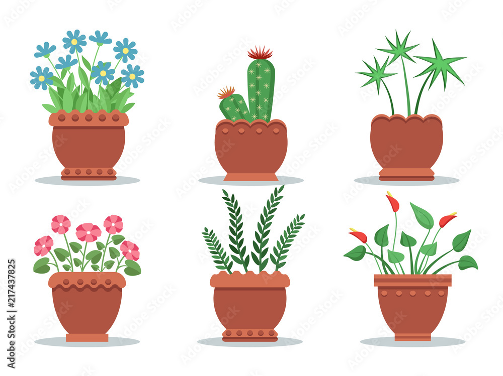 Obraz premium Room Plants in Pots Collection Vector Illustration