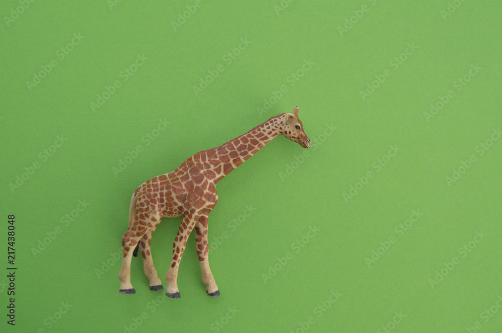 Obraz premium An animal is a children's toy.