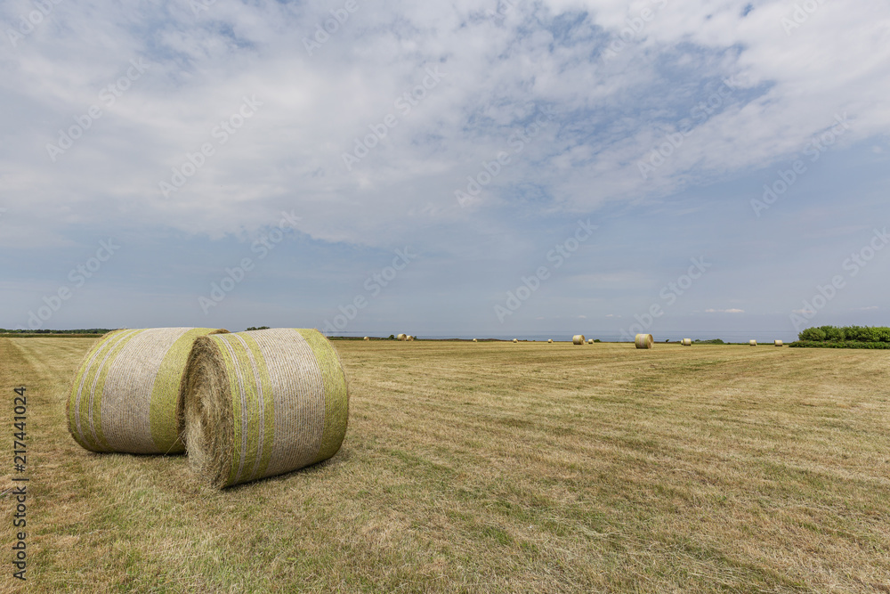 View to harvested Hay Bales at Sylt-Braderup with View to Wadden Sea / Germany