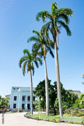 Palms in Leoncio Vidal's park, Santa Clara, Cuba