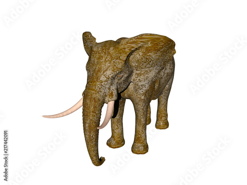 Afrikanischer Elefant mit Sto  z  hnen
