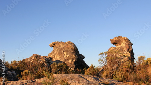 Brown Stone Shaped like Animal A Beautiful Of Natural With Evening Light In South Africa
